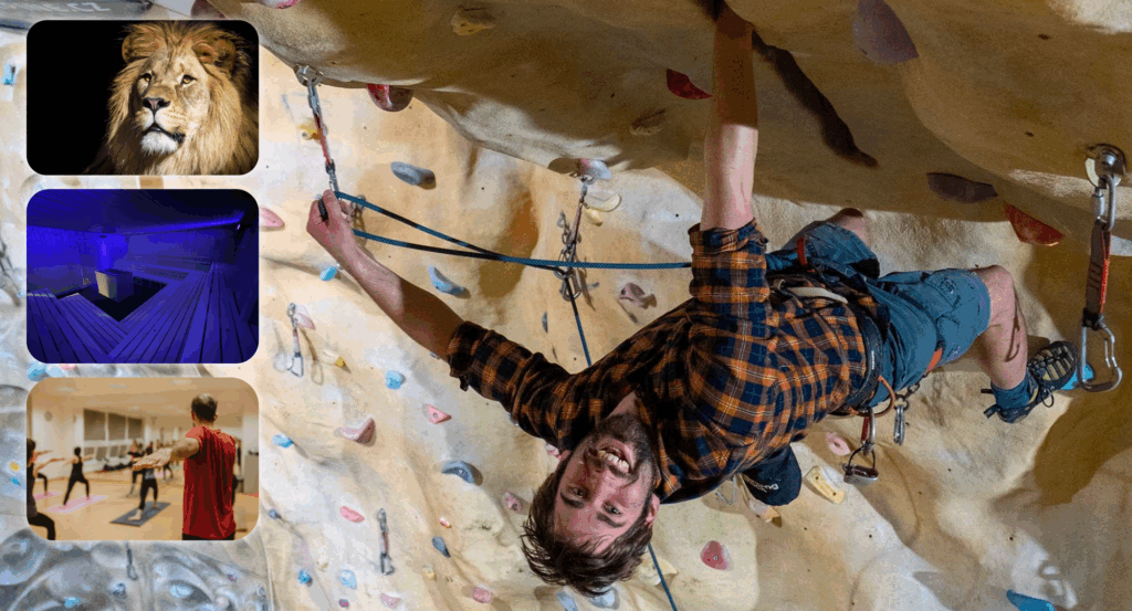 Kam v&nbsp;listopadu na&nbsp;severu Čech? Na horolezeckou stěnu, do lázní nebo i&nbsp;do zoo 